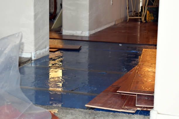 Professional Crawl Space Water Removal technician working in Chatfield, TX